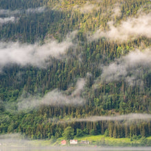 Load image into Gallery viewer, 'Nordic Forest' Candle